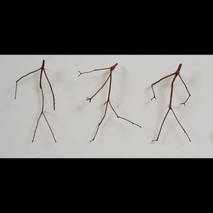 Meet your Posher, Kitty